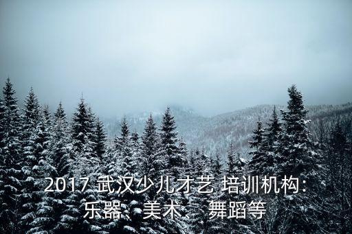 2017 武汉少儿才艺 培训机构:乐器、美术、 舞蹈等