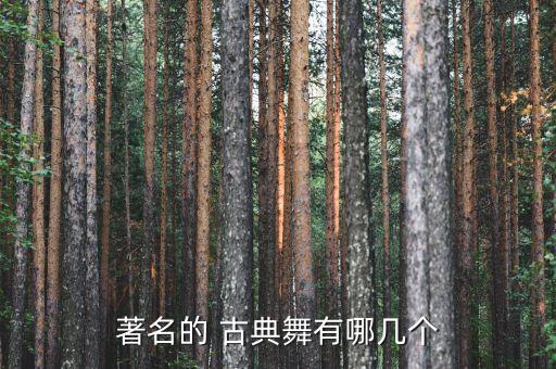 著名的 古典舞有哪几个
