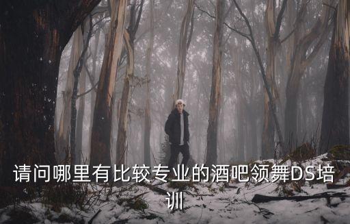 请问哪里有比较专业的酒吧领舞DS培训