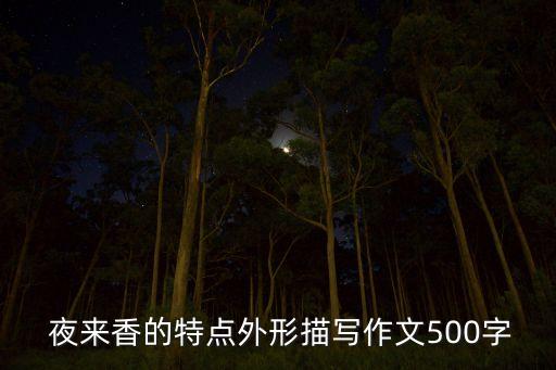  夜来香的特点外形描写作文500字