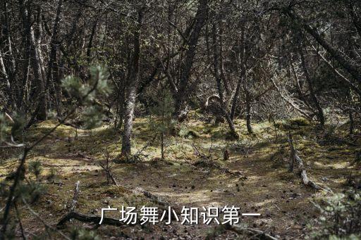 广场舞小知识第一