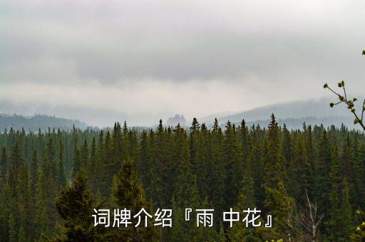 词牌介绍『雨 中花』