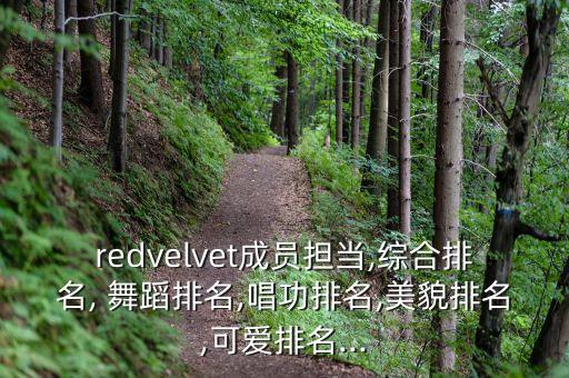 redvelvet成员担当,综合排名, 舞蹈排名,唱功排名,美貌排名,可爱排名...