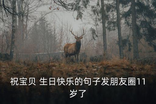 祝宝贝 生日快乐的句子发朋友圈11岁了