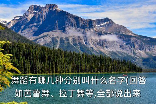 有那些舞蹈