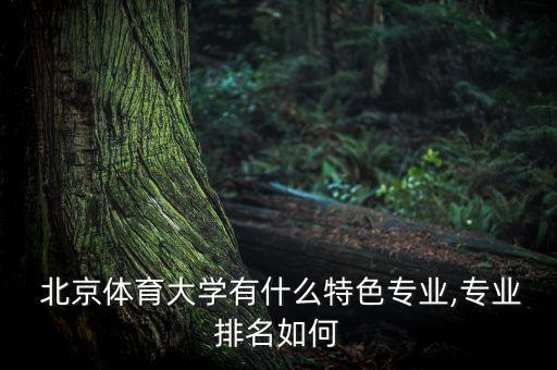  北京体育大学有什么特色专业,专业排名如何