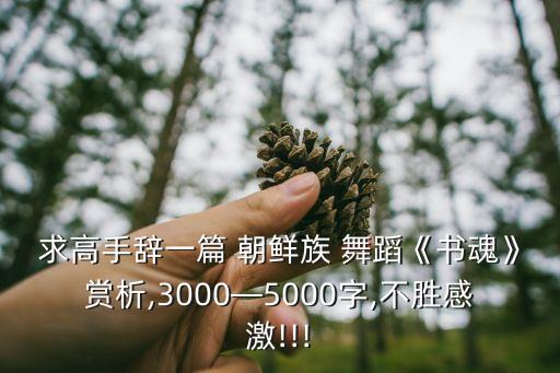 求高手辞一篇 朝鲜族 舞蹈《书魂》赏析,3000—5000字,不胜感激!!!