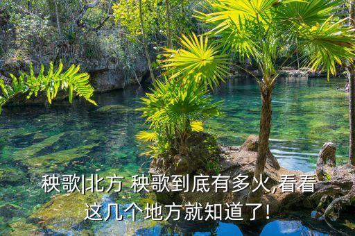  秧歌|北方 秧歌到底有多火,看看这几个地方就知道了!