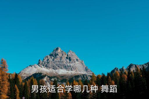 男孩适合学哪几种 舞蹈