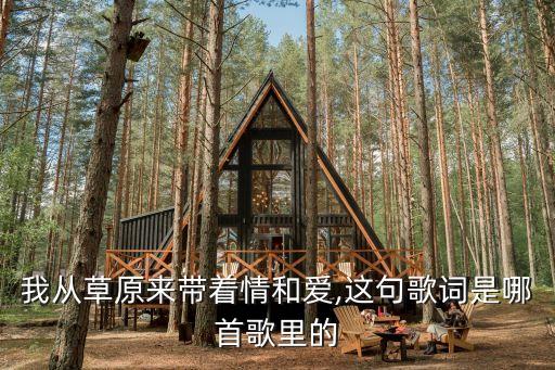 我从草原来带着情和爱,这句歌词是哪首歌里的