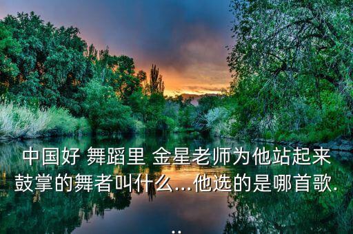 中国好 舞蹈里 金星老师为他站起来鼓掌的舞者叫什么…他选的是哪首歌...