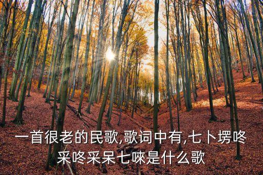七个隆咚锵舞蹈蒙古舞,蒙古舞七级舞蹈视频