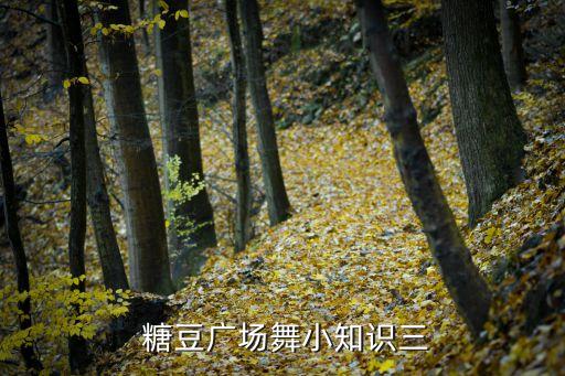 所有糖豆舞蹈视频,糖豆舞蹈视频怎么传到储存卡里面
