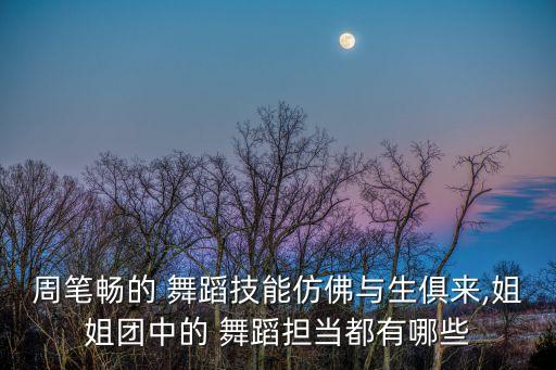 周笔畅的 舞蹈技能仿佛与生俱来,姐姐团中的 舞蹈担当都有哪些