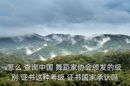 怎么 查询中国 舞蹈家协会颁发的级别 证书这种考级 证书国家承认吗