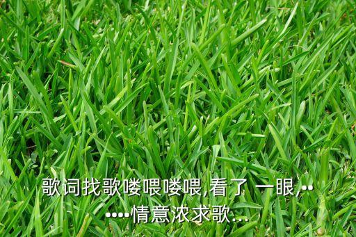 歌词找歌喽喂喽喂,看了 一眼,••••••情意浓求歌...