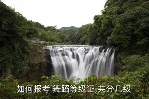 如何报考 舞蹈等级证,共分几级