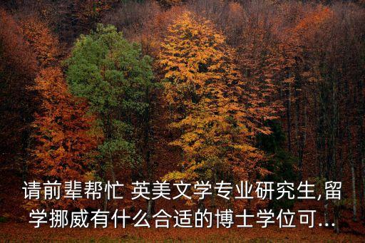 请前辈帮忙 英美文学专业研究生,留学挪威有什么合适的博士学位可...