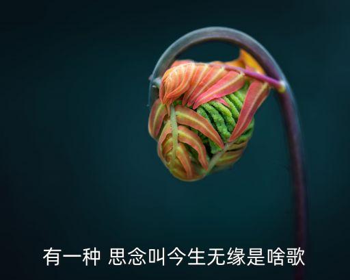 有一种 思念叫今生无缘是啥歌
