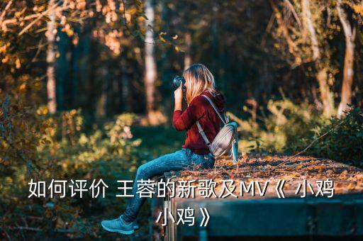 如何评价 王蓉的新歌及MV《 小鸡 小鸡》