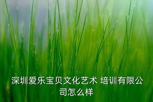  深圳爱乐宝贝文化艺术 培训有限公司怎么样