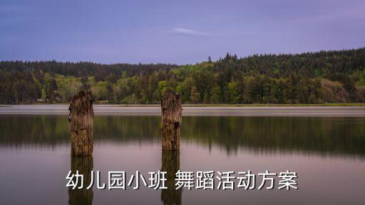 幼儿园小班 舞蹈活动方案
