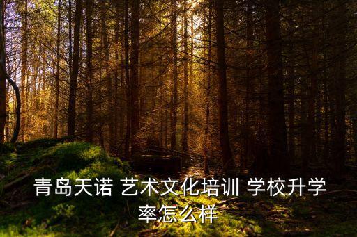  青岛天诺 艺术文化培训 学校升学率怎么样