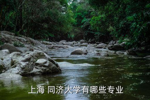  上海 同济大学有哪些专业
