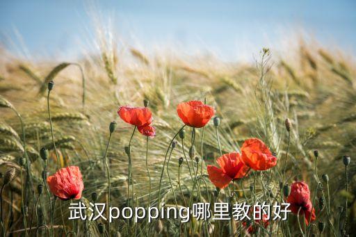  武汉popping哪里教的好