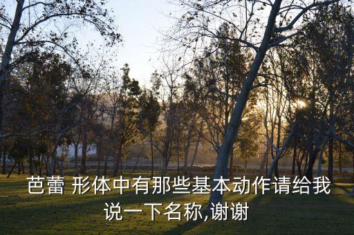  芭蕾 形体中有那些基本动作请给我说一下名称,谢谢
