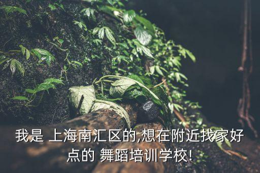 我是 上海南汇区的,想在附近找家好点的 舞蹈培训学校!