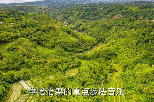 学恰恰舞的重点步法音乐