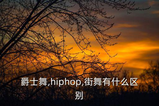 爵士舞,hiphop,街舞有什么区别