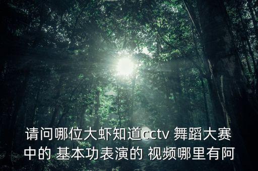 请问哪位大虾知道cctv 舞蹈大赛中的 基本功表演的 视频哪里有阿