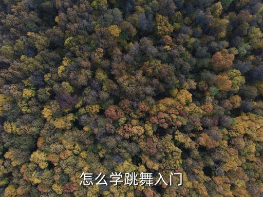 怎么学跳舞入门