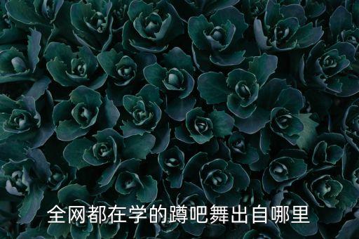 全网都在学的蹲吧舞出自哪里
