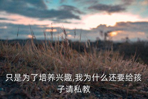 只是为了培养兴趣,我为什么还要给孩子请私教