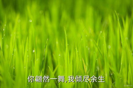 还钱舞蹈教学