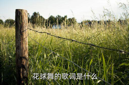 花球舞的个人舞蹈视频大全,幼儿花球舞舞蹈视频