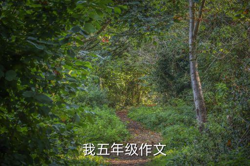 我五年级作文
