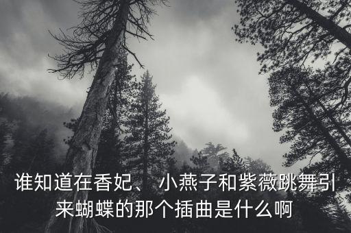 谁知道在香妃、 小燕子和紫薇跳舞引来蝴蝶的那个插曲是什么啊