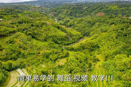 简单易学的 舞蹈 视频 教学!!!