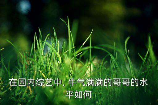 在国内综艺中, 牛气满满的哥哥的水平如何