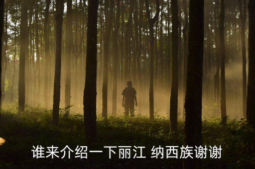 谁来介绍一下丽江 纳西族谢谢