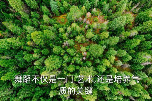  舞蹈不仅是一门 艺术,还是培养气质的关键