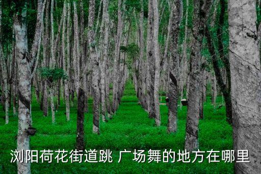 浏阳荷花街道跳 广场舞的地方在哪里