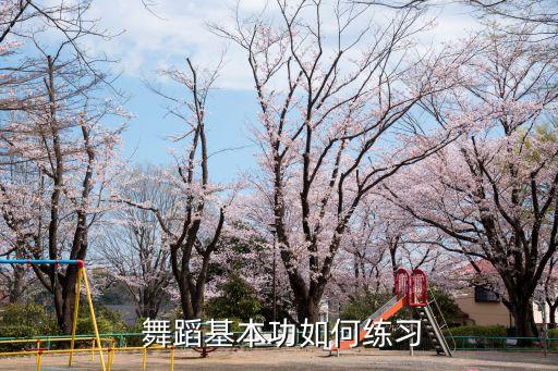  舞蹈基本功如何练习