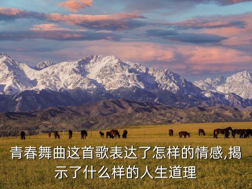 美丽小鸟一去无影踪舞蹈