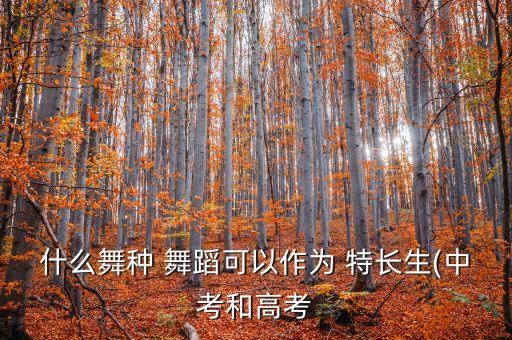 什么舞种 舞蹈可以作为 特长生(中考和高考