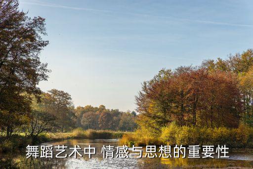  舞蹈艺术中 情感与思想的重要性